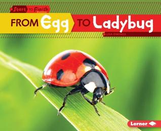 From Egg to Ladybug (Start to Finish, Second Series)
