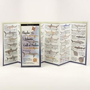 The Ultimate Guide to Sharks of the Atlantic & Gulf of Mexico (Wall Chart)