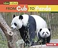 From Cub to Panda