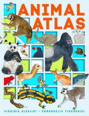 Animal Atlas (Hardcover)