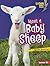 Meet a Baby Sheep (Lightning Bolt Books)
