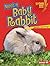 Meet a Baby Rabbit (Lightni...