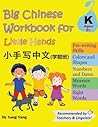 Big Chinese Workb...