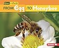 From Egg to Honeybee
