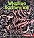 Wiggling Earthworms