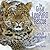The Great Leopard Rescue: Saving the Amur Leopards (Sandra Markle's Science Discoveries)