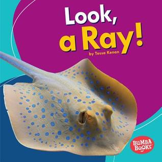 Look, a Ray! (Bumba Books ® ― I See Ocean Animals)