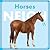 Horses Neigh