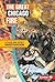 The Great Chicago Fire: A Cause-and-Effect Investigation (Cause-and-Effect Disasters)