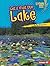 Let's Visit the Lake (Lightning Bolt Books ® ― Biome Explorers)