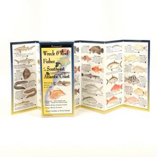 Wreck & Reef Fishes of the Se Atlantic Coast