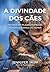 A Divindade dos Cães
