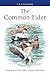 The Common Eider (Poyser Mo...