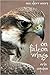 On Falcon Wings
