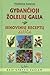 Gydančioji žolelių galia. Senovinių receptų knyga