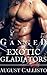 Ganged by Exotic Gladiators