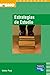 Estrategias de estudio