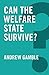 Can the Welfare State Survive? (Global Futures)