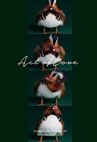 Act Of Love : A Visual Dictionary Of Animal Courtship (Hardcover)