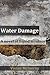 Water Damage: A novel of liquid mystery