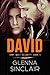 David (Gray Wolf Security, #2)