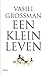 Een klein leven by Vasily Grossman