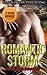 ROMANCE: NAVY SEAL ROMANCE: Romantic Storm (Military Bad Boy Pregnancy Romance Collection) (New Adult Alpha Male Paranormal Short Stories Collection)