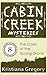 The Case of the Spying Drone (Cabin Creek Mysteries Book 8)