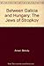 Between Galicia and Hungary: The Jews of Stropkov
