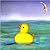 Ducky Lost, Ducky Found