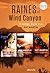 Raines of Wind Canyon #2-4 - 3-teilige Serie von Kat Martin: eBundle