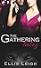 The Gathering Tales: The Complete Series (The Gathering Tales #1-3)