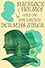 Sherlock Holmes und die Dokumente der Miss Adler (German Edition)