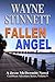 Fallen Angel (Jesse McDermi...