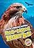 Red-tailed Hawks (North American Animals)