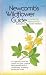 Newcomb’s Wildflower Guide by Lawrence Newcomb
