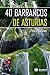 40 barrancos de Asturias