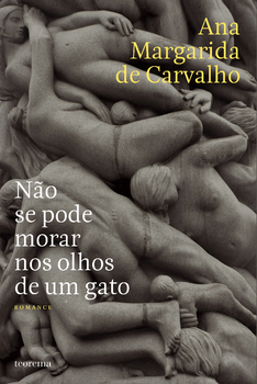 Não Se Pode Morar Nos Olhos De Um Gato (Paperback)