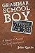 Grammar School Boy: A Memoi...
