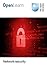 Network security