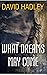 What Dreams May Come