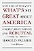 Dinesh D’Souza’s What’s So Great About America by Harold Palmer