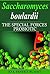 Saccharomyces boulardii: The Special Forces Probiotic