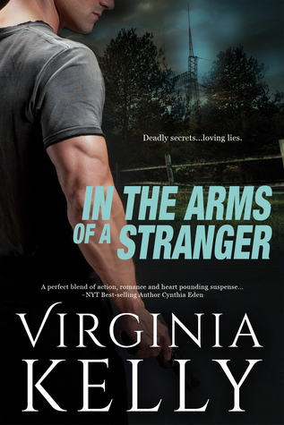 In the Arms of a Stranger (Shadow Heroes #2)