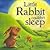 Little Rabbit Couldn't Sleep