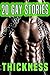Thickness: 20 Gay Stories Bundle Collection
