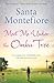 Meet Me Under the Ombu Tree by Santa Montefiore