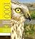 Tarkka haukka ja muita lintuja (1000 ilmiötä Suomen luonnosta, #2)