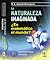 La naturaleza imaginada: ¿Es matemático el mundo?
