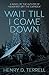 Wait till I come down: Memories, Lies, and Retribution in the High Mountain Air